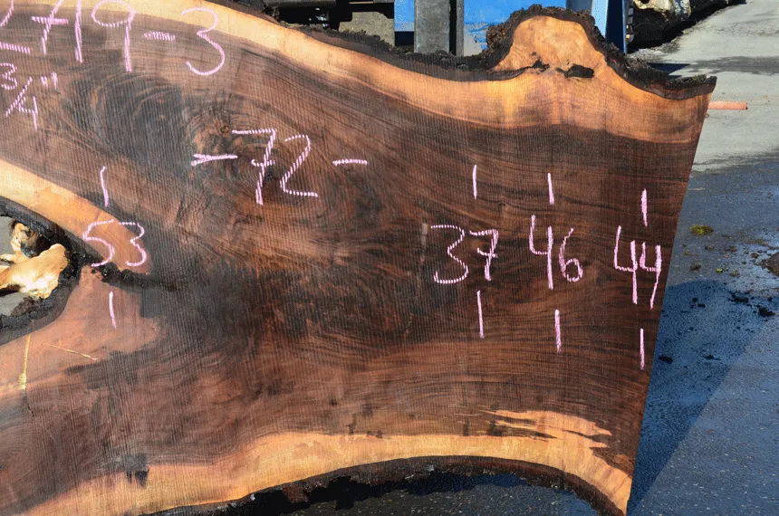 022719-03 Oregon Black Walnut Slab