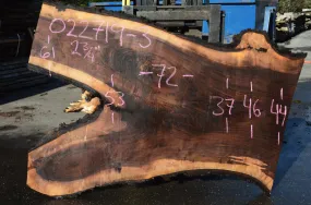 022719-03 Oregon Black Walnut Slab