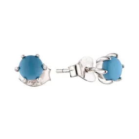 Bella Luna Birthstone Earrings Dec/Turq 5mm