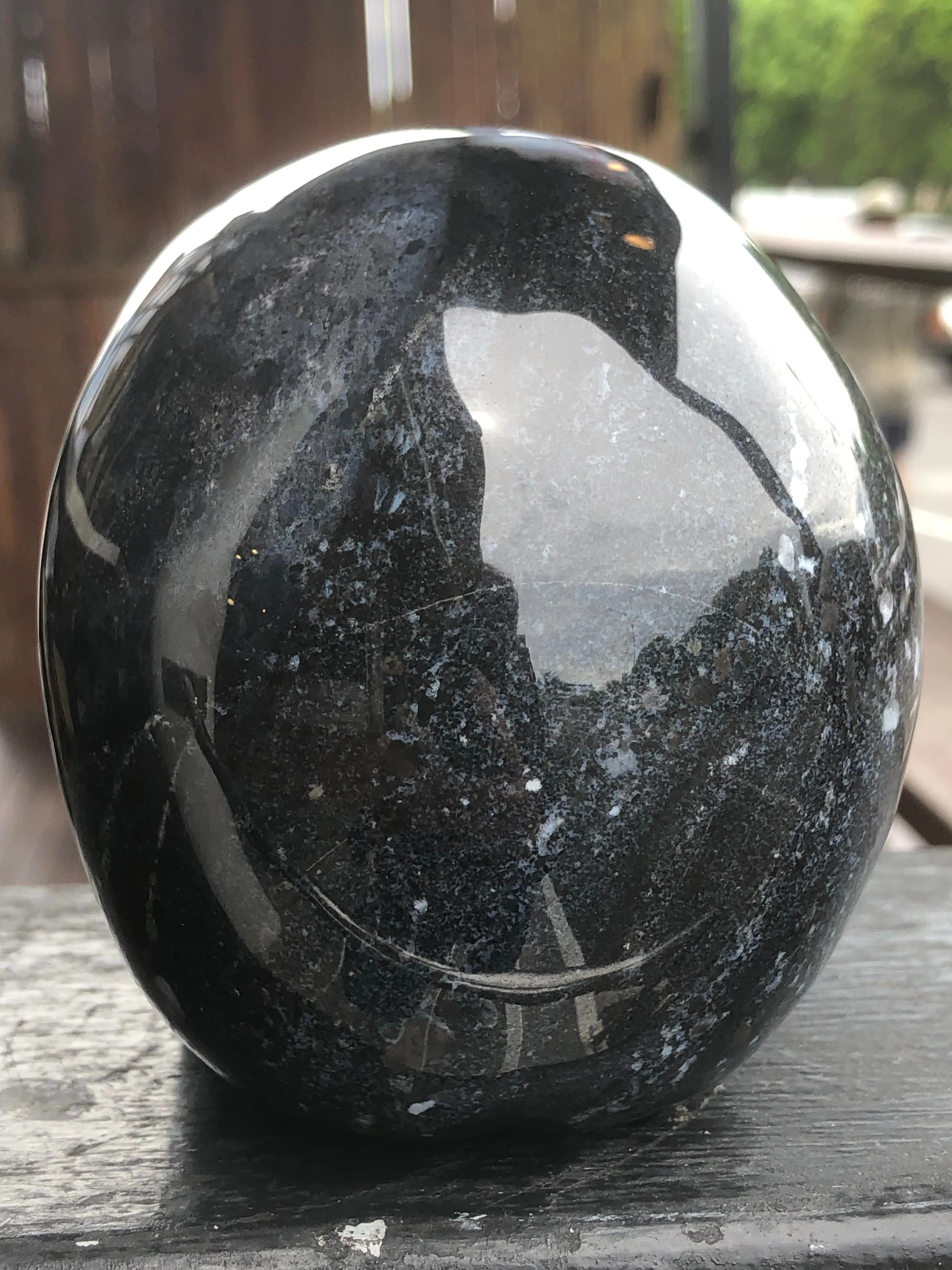 Black Zebra Agate Skull [1k1554]