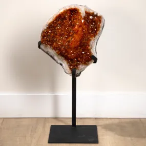 Citrine Geode from Brazil on Custom Stand - 29 / 44 lbs