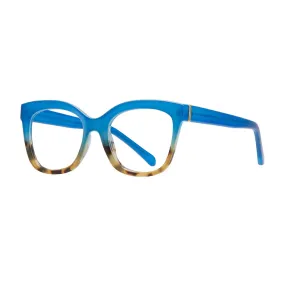 Morgan - Blue/Brown Tortoise Readers