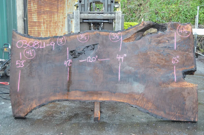 Oregon Black Walnut Slab 030821-09