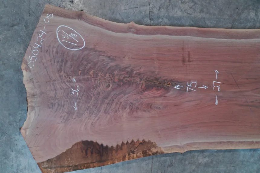 Oregon Black Walnut Slab 050424-05