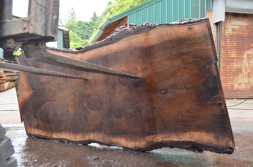 Oregon Black Walnut Slab 063022-02