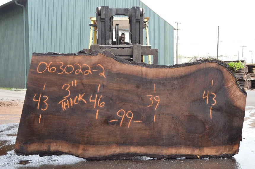 Oregon Black Walnut Slab 063022-02