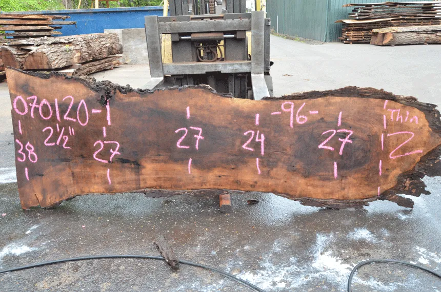 Oregon Black Walnut Slab 070120-01