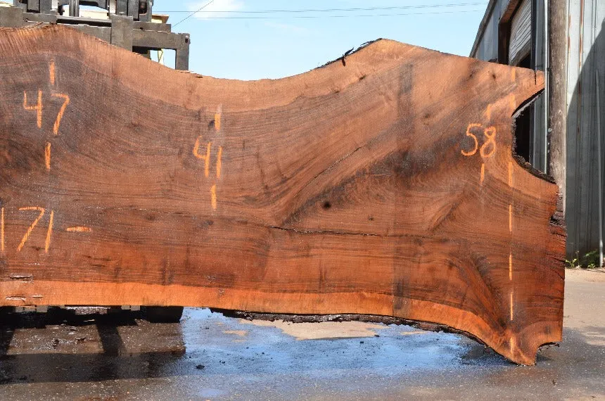 Oregon Black Walnut Slab 072122-01