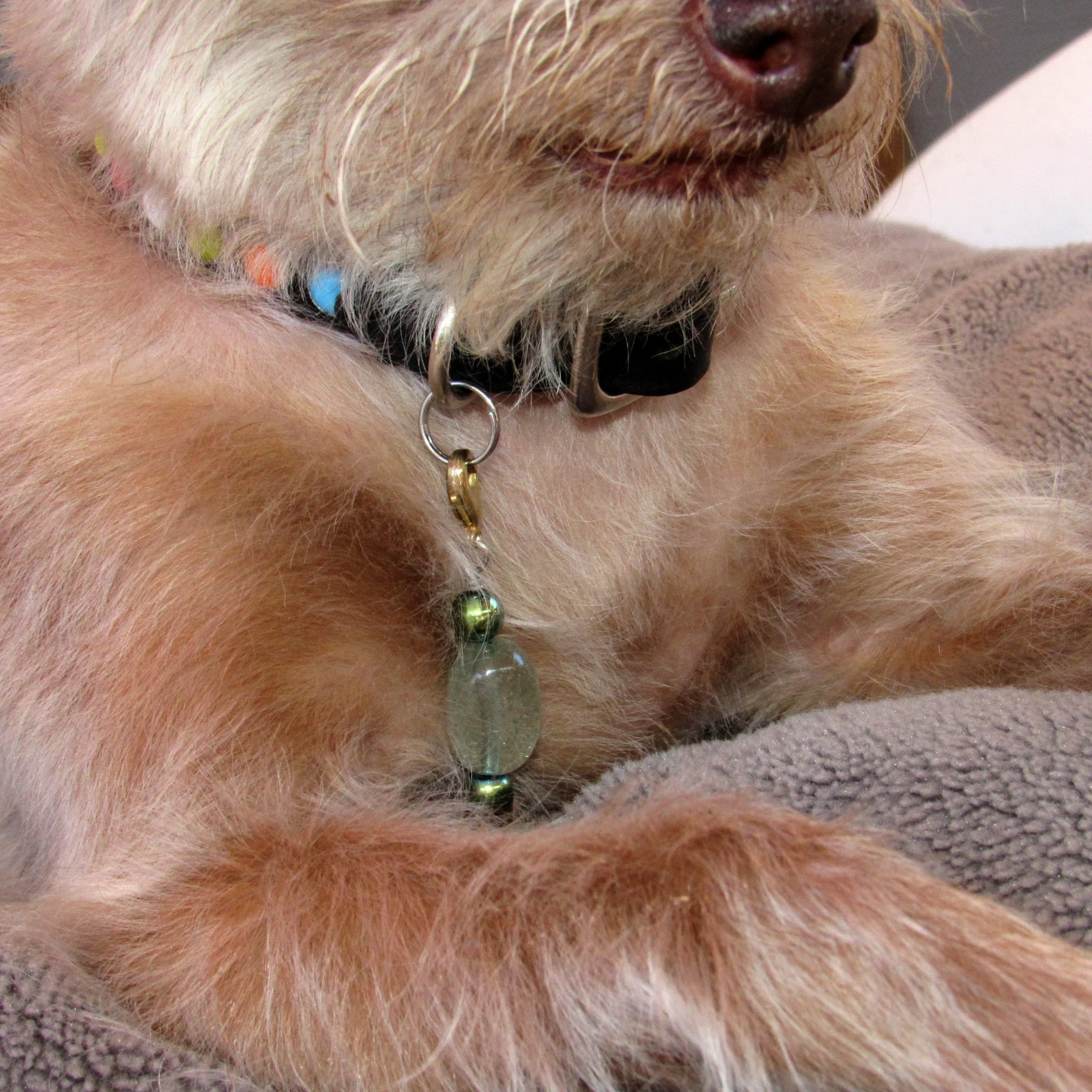 Phantom Ghost Quartz and hematite gemstone Pet Charm