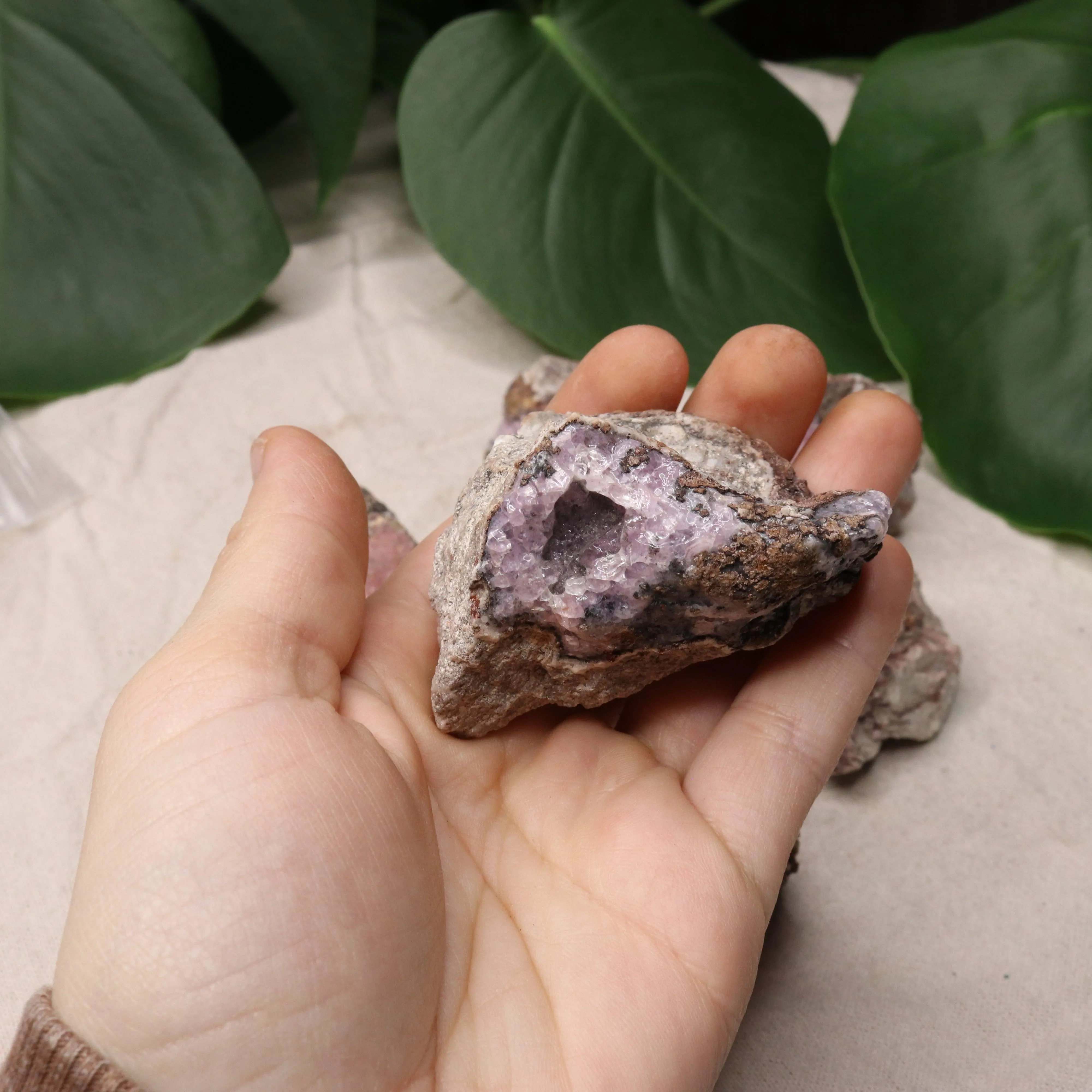 Pink Aragonite~ 1 lb Raw from Mexico ~ Heart Chakra Crystal