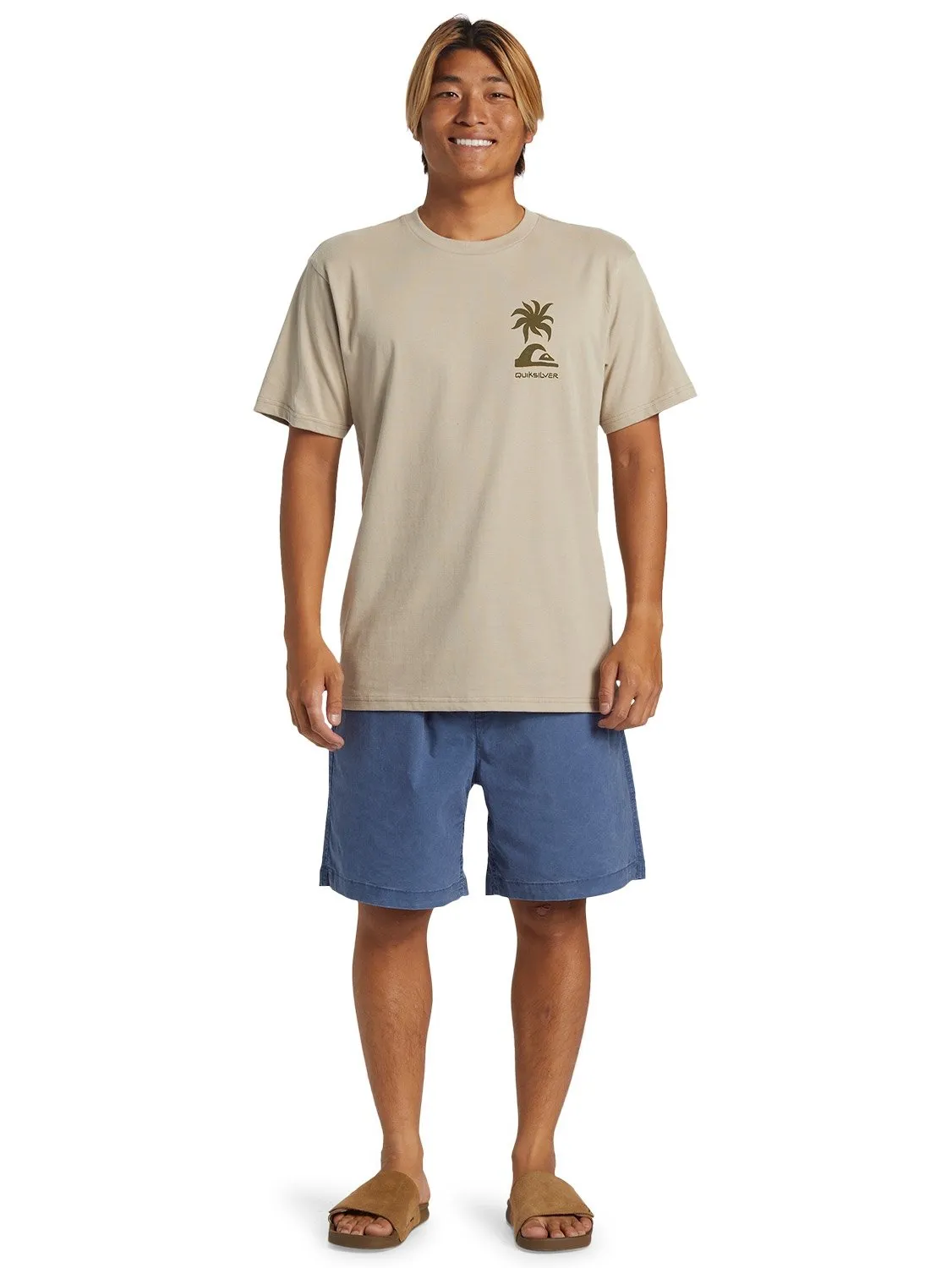 Quiksilver Mens Tropical Breeze Mor T-Shirt