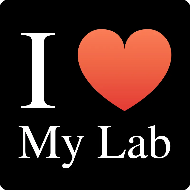 "I ♥ My Lab" (white) - Women's T-Shirt