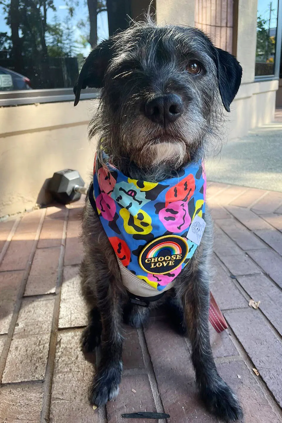 ★Dog Bandana Groovy Smiley Face - Customize with Interchangeable Velcro Patches